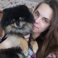 Догситтер