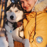 Догситтер