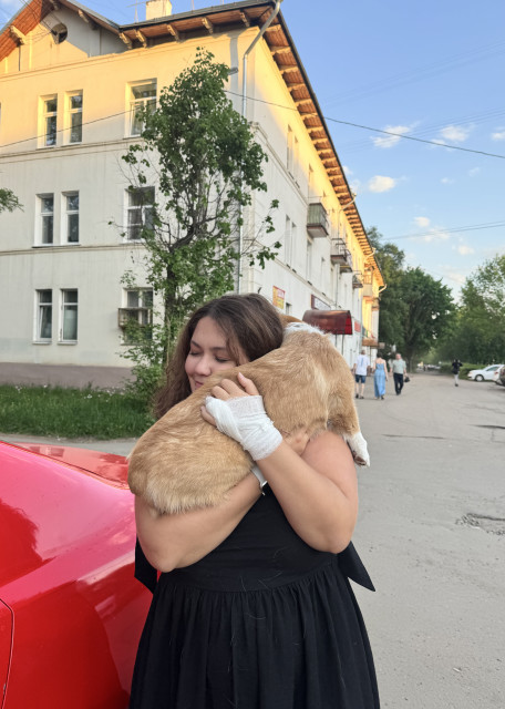 Догситтер Ксения М. — передержка собак, Москва, фото 13