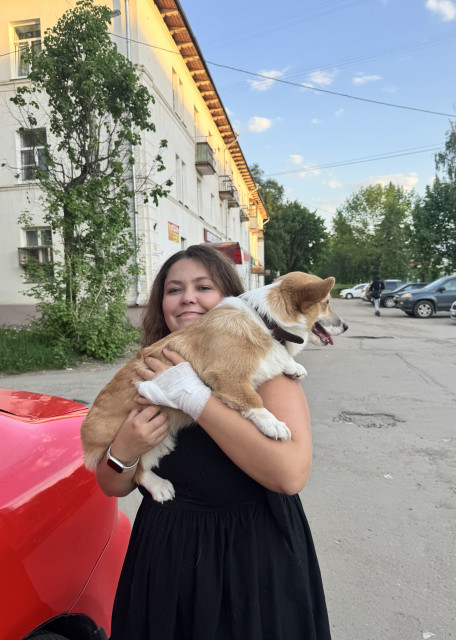 Догситтер Ксения М. — передержка собак, Москва, фото 14