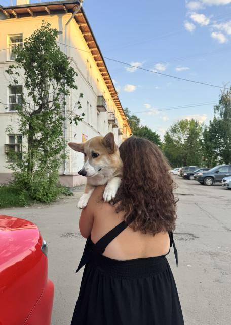 Догситтер Ксения М. — передержка собак, Москва, фото 15