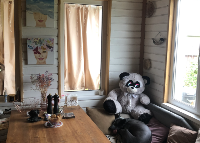 Догситтер Юлия Б. — передержка собак, ОреховоЗуевский, фото 13