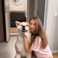 Догситтер
