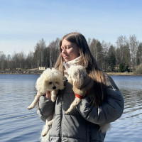 Догситтер