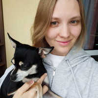 Догситтер