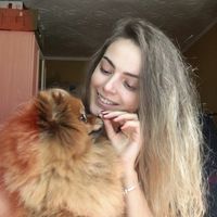 Догситтер