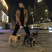 Догситтер