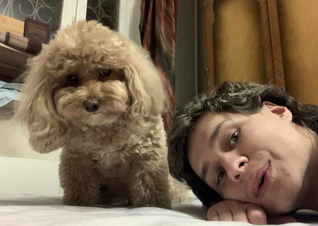 Догситтер Иван О. — передержка собак, Одинцово, фото 8