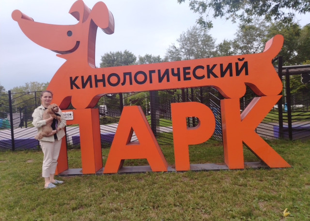 Догситтер Наталия А. — передержка собак, Москва, фото 1