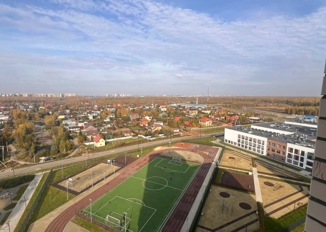 Догситтер Анастасия М. — передержка собак, деревня, фото 13