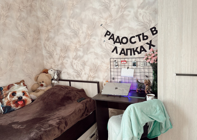 Догситтер Дарья Б. — передержка собак, Ярославль, фото 9
