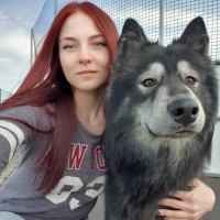 Догситтер
