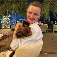 Догситтер