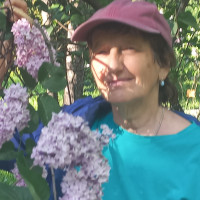 Догситтер