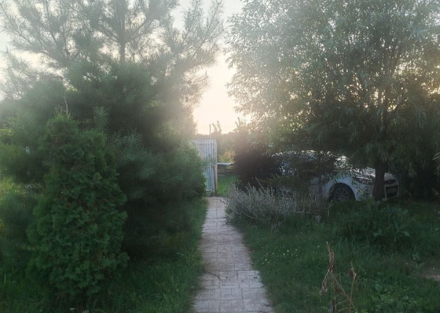 Догситтер Лидия Х. — передержка собак, Лаишевский, фото 9