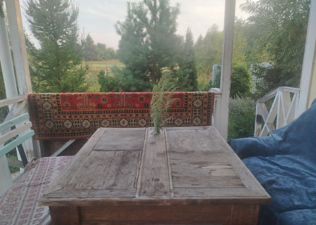 Догситтер Лидия Х. — передержка собак, Лаишевский, фото 8