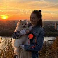 Догситтер