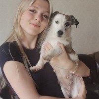 Догситтер
