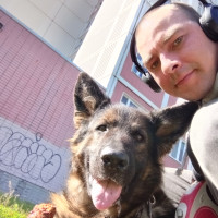 Догситтер Михаил