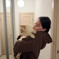 Догситтер Елизавета