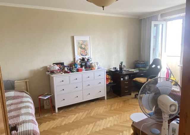 Догситтер Алёна У. — передержка собак, Москва, фото 11