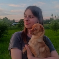 Догситтер