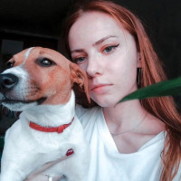 Догситтер