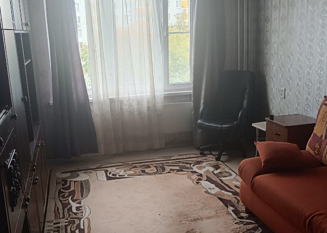 Догситтер Ирина Ч. — передержка собак, Москва, фото 6