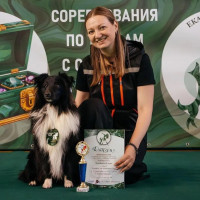 Догситтер