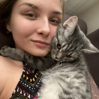 Догситтер