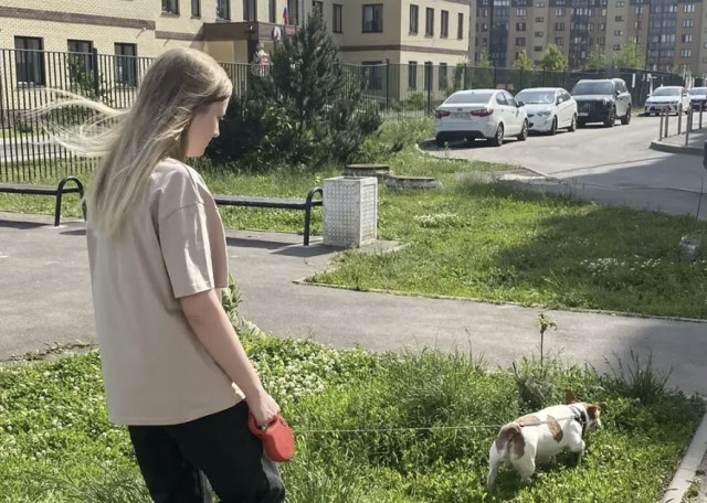 Догситтер Ирина Л. — передержка собак, Мытищи, фото 10