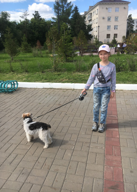 Догситтер Вика К. — передержка собак, Омскцентральный, фото 8