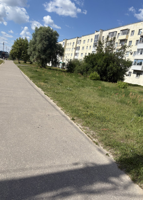Догситтер Ольга Ф. — передержка собак, Владимир, фото 6