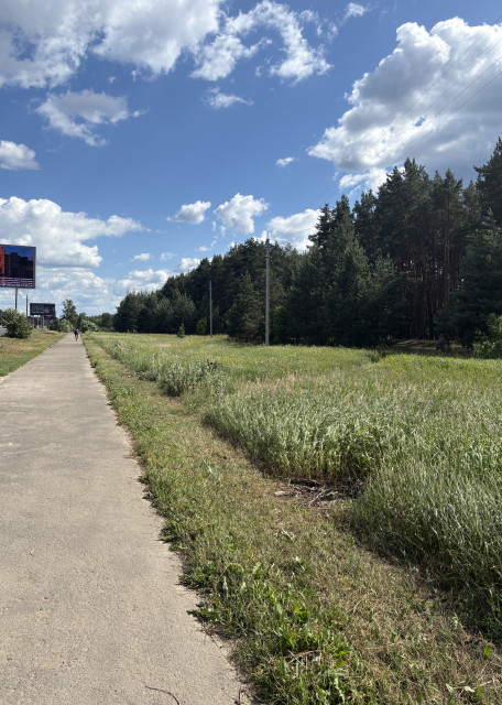Догситтер Ольга Ф. — передержка собак, Владимир, фото 5