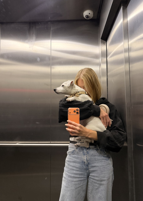Догситтер Яна Е. — передержка собак, Москва, фото 19