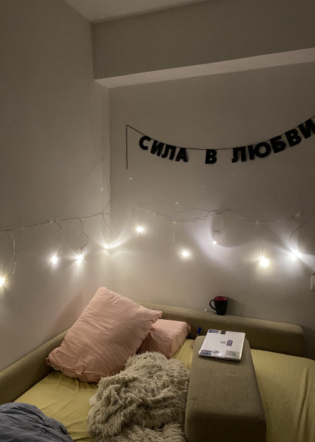 Догситтер Ольга Л. — передержка собак, Москва, фото 2