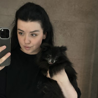 Догситтер