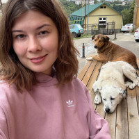 Догситтер