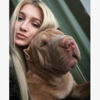 Догситтер Анна