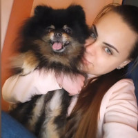Догситтер