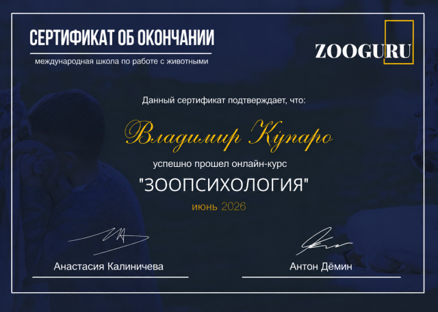 Догситтер Владимир К. — передержка собак, РостовнаДону, фото 2
