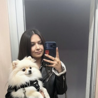 Догситтер