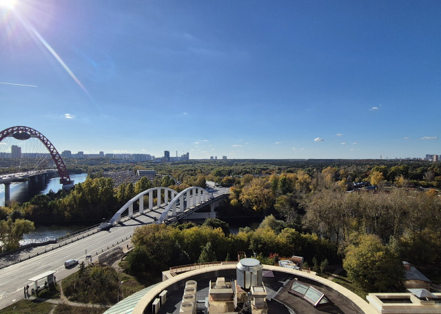 Догситтер Карина К. — передержка собак, Москва, фото 5