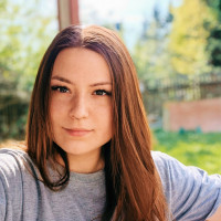 Догситтер