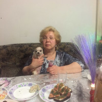 Догситтер Татьяна