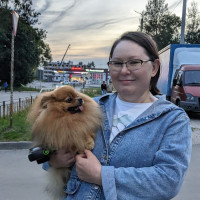 Догситтер Наталья